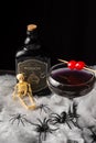 Aerial view of black Halloween cocktail glass with red cherries, skeletons and poison bottle on spider web Royalty Free Stock Photo