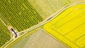 Aerial view of blooming apple trees in orchard and rapeseed field