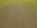 Aerial view of a blooming grassland in autumn Royalty Free Stock Photo