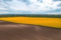 Aerial view of blooming rapeseed plantation field from drone pov Royalty Free Stock Photo