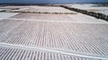 Aerial view of blueberry field in winter