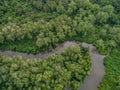 Aerial view of boat in the mangrove Rio Sierpe river in Costa Rica deep inside the jungle