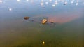 An aerial view of a boat wreck on a sandbank in an harbor at low tide surrounded by other boats under a majestic cloudy blue sky