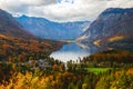 Aerial view of Bohinj lake in Julian Alps, Slovenia Royalty Free Stock Photo