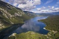 Aerial view on Bohinj lake between mountains with forest in Slovenia, Europe Royalty Free Stock Photo