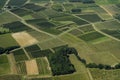 Aerial view of Bordeaux vineyard, France Royalty Free Stock Photo