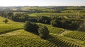 Aerial view, Bordeaux vineyard, landscape vineyard south west of france Royalty Free Stock Photo