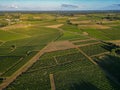 Aerial view Bordeaux Vineyard at sunrise, Entre deux mers, Gironde