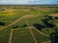 Aerial view Bordeaux Vineyard at sunrise, Entre deux mers, Gironde