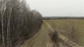 Aerial view of border between forest and field