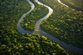 aerial view of branching river deltas Royalty Free Stock Photo