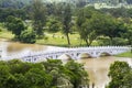 Aerial View Of A Bridge At Chinese Garden, Singapore. Royalty Free Stock Photo