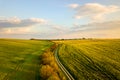 Aerial view of bright green agricultural farm field with growing rapeseed plants and cross country dirt road at sunset Royalty Free Stock Photo