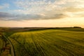 Aerial view of bright green agricultural farm field with growing rapeseed plants and cross country dirt road at sunset Royalty Free Stock Photo