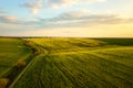 Aerial view of bright green agricultural farm field with growing rapeseed plants and cross country dirt road at sunset Royalty Free Stock Photo