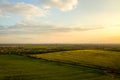 Aerial view of bright green agricultural farm field with growing rapeseed plants and cross country dirt road at sunset Royalty Free Stock Photo