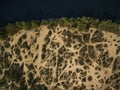 aerial view of bushes and trees on sandy river bank Royalty Free Stock Photo
