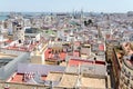 Aerial view of Cadiz from Torre Tavira, Andalucia, Spain