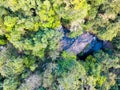 Aerial view of forest