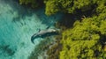 Aerial view captures a crocodile at Cayo Centro, showcasing its presence in the serene waters, Ai Generated