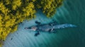 Aerial view captures a crocodile at Cayo Centro, showcasing its presence in the serene waters, Ai Generated