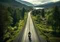 aerial view of the car driving of country road through green woods Royalty Free Stock Photo