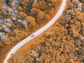 Aerial view car on road forest tree environment forest nature background, Texture of yellow orange tree and dead tree top view