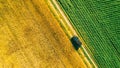 Aerial View Of Car SUV Parked Near Countryside Road In Spring Field Rural Landscape. Car Between Young Wheat And Corn Royalty Free Stock Photo