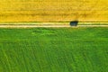 Aerial View Of Car SUV Parked Near Countryside Road In Spring Field Rural Landscape. Car Between Young Wheat And Corn Royalty Free Stock Photo