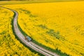 Aerial View Of Car SUV Parked Near Countryside Road In Spring Field Rural Landscape. Flowering Blooming Rapeseed Royalty Free Stock Photo