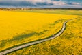 Aerial View Of Car SUV Parked Near Countryside Road In Spring Field Rural Landscape. Flowering Blooming Rapeseed Royalty Free Stock Photo