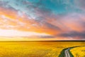 Aerial View Of Car SUV Parked Near Countryside Road In Spring Field Rural Landscape. Flowering Blooming Rapeseed Royalty Free Stock Photo