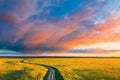 Aerial View Of Car SUV Parked Near Countryside Road In Spring Field Rural Landscape. Flowering Blooming Rapeseed Royalty Free Stock Photo