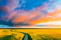 Aerial View Of Car SUV Parked Near Countryside Road In Spring Field Rural Landscape. Flowering Blooming Rapeseed Royalty Free Stock Photo