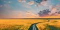 Aerial View Of Car SUV Parked Near Countryside Road In Spring Field Rural Landscape. Flowering Blooming Rapeseed Royalty Free Stock Photo