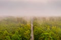 Aerial view at the car traffic on a road between a forest in foggy conditions, nice misty view from the birds eye.