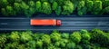 Aerial view of car and truck driving in lush forest captured by drone from above Royalty Free Stock Photo