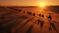 Aerial View of a Caravan of Camels Crossing the Sahara Desert at Sunset