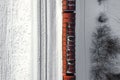 Aerial view of cargo train wagons, a double-track railway. Winter rail road with white snow, top view Royalty Free Stock Photo