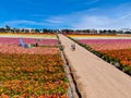 Aerial view of Carlsbad Flower Fields.