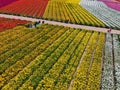 Aerial view of Carlsbad Flower Fields.