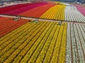 Aerial view of Carlsbad Flower Fields.