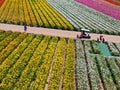 Aerial view of Carlsbad Flower Fields.