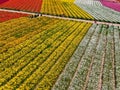 Aerial view of Carlsbad Flower Fields.