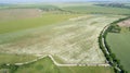 Aerial view of chamomile fields. White daisies