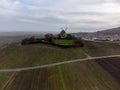 Aerial view on left bank of Gironde Estuary with green vineyards with red Cabernet Sauvignon grape variety of famous Haut-Medoc