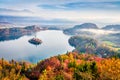 Aerial view of church of Assumption of Maria on the Bled lake. Foggy autumn landscape in Julian Alps, Slovenia, Europe. Beauty of Royalty Free Stock Photo