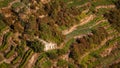 Aerial view of Cinque Terre wineyards Royalty Free Stock Photo