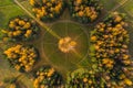 Aerial view of a circle of white birches in Pavlovsky park. Golden trees in autumn. Round Birch Alley. Landscape design.
