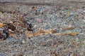 Aerial view of city garbage dump. Pile of plastic trash, food waste on landfill. Environmental pollution concept Royalty Free Stock Photo